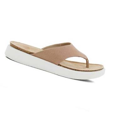 Women's Ecco Corksphere Thong Sandals Brown | USA 167WNB